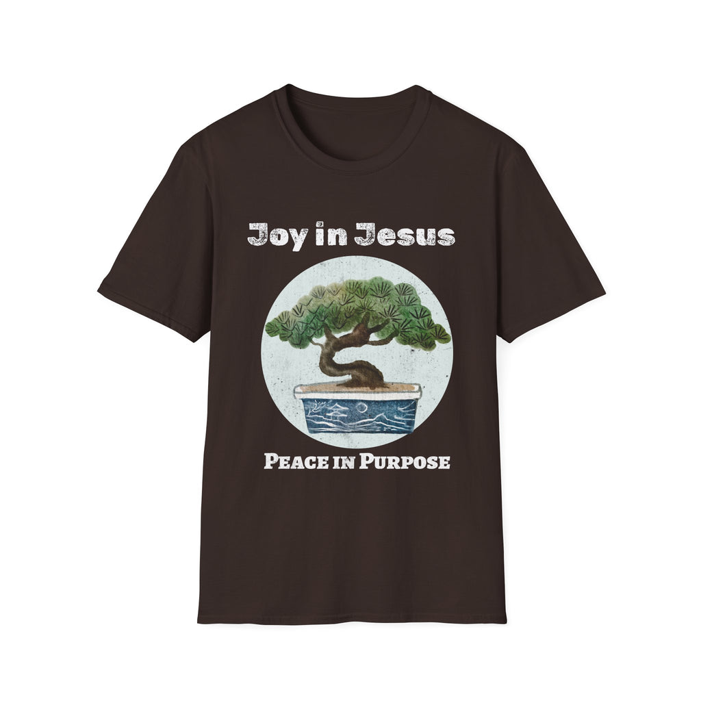Joy in Jesus Peace in Purpose T-shirt